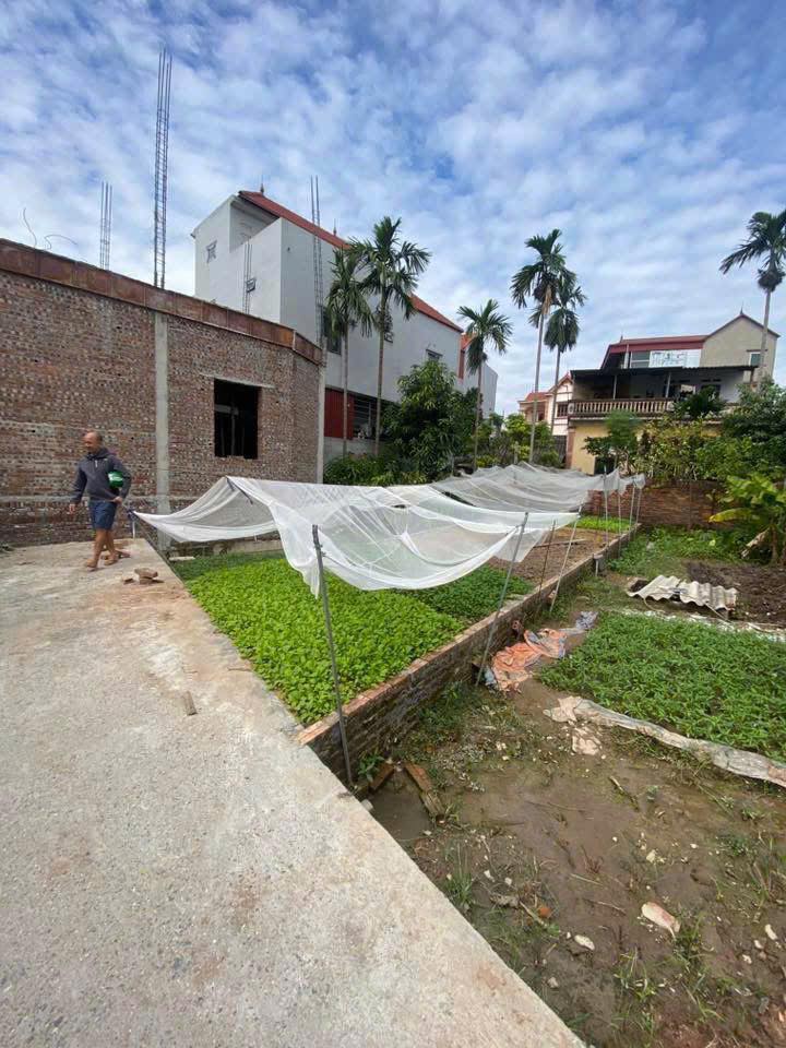 Đất Kiêu Kỵ, Gia Lâm 52m² giá 3 tỷ - Đầu tư sinh lời cho tương lai!