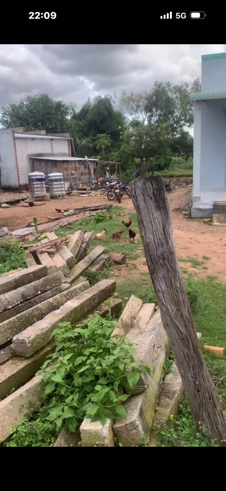 Đất Xào 4.230m² Mặt Tiền Đường Betong, Giá 1.5 Tỷ - Cơ Hội Vàng Đầu Tư!