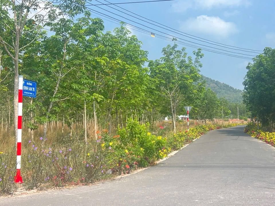 Đất nền Nguyễn Huệ, Dầu Tiếng 1250m² giá chỉ 5xx triệu - Đầu tư sinh lời ngay!