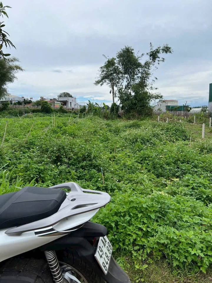 Đất thổ cư Phú Hội Đức Trọng 155m² giá 1,2 tỷ - Cơ hội đầu tư tuyệt vời!