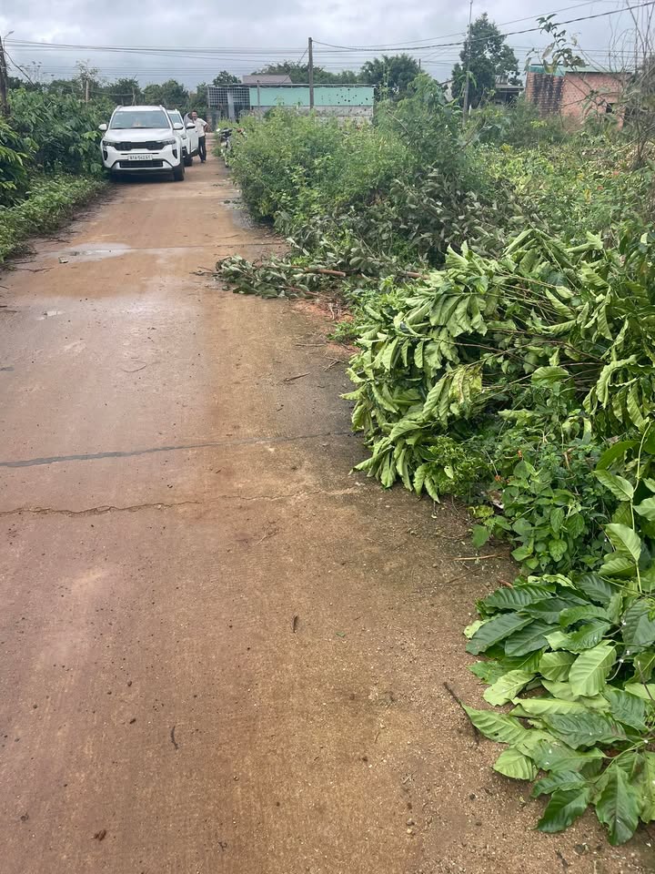 Đất nền góc Mặt tiền Đào Duy Từ, Pleiku 310m² - Đầu tư sinh lời ngay!