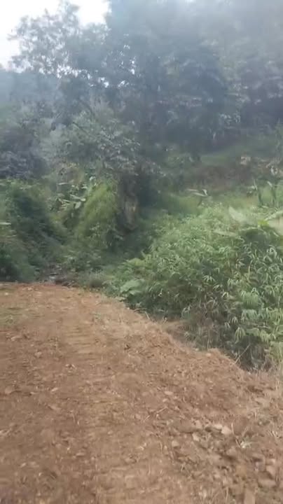 Đất RSX chính chủ tại Liên Sơn - Lương Sơn, Hòa Bình 15ha giá 2.7 tỷ - Đầu tư sinh lời bền vững!