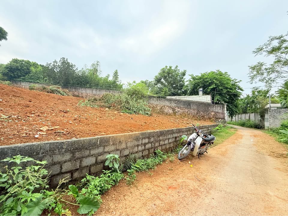 Đất Nhuận Trạch Lương Sơn 1000m² - Đường bê tông thông thoáng, vị trí đắc địa!