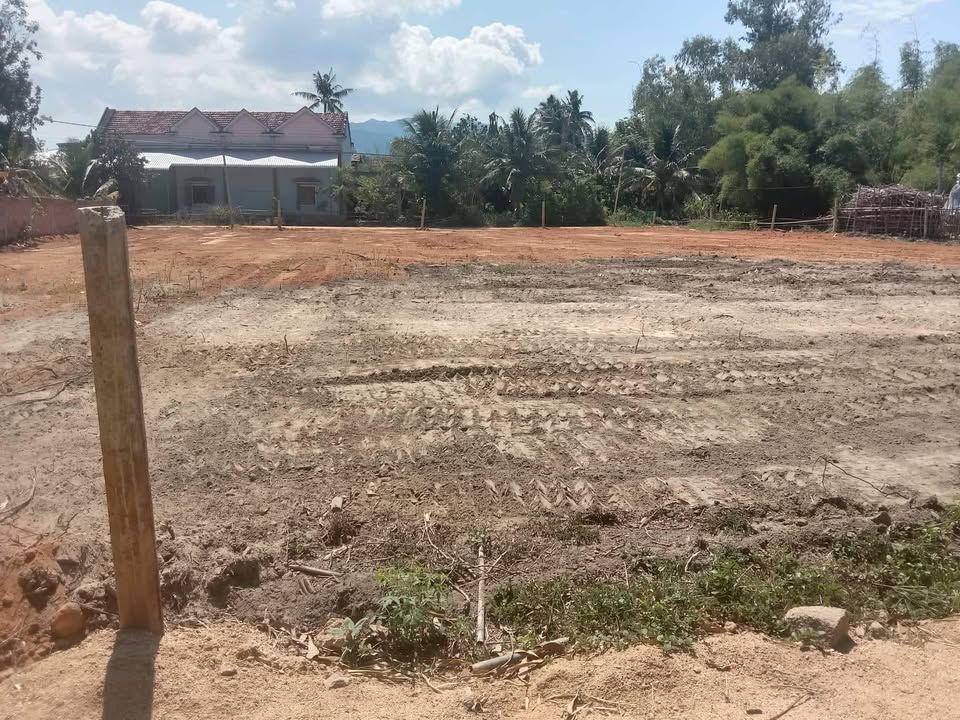 Đất nền thôn Khánh Lộc, Cát Hanh, Phù Cát 384m² giá 375 triệu - Cơ hội đầu tư tuyệt vời!