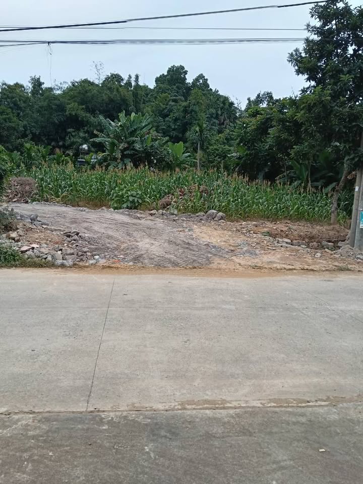 Đất nền Ngọc Quan Đoan Hùng 560m² giá thỏa thuận - Đầu tư sinh lời hấp dẫn!