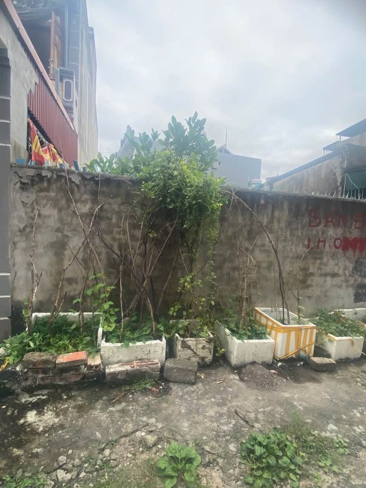 Đất nền Quang Trung 140m² giá chỉ 2.1 tỷ - Vị trí đắc địa, tiện ích đầy đủ!