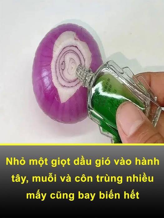 Nhà mặt tiền An Hòa, Biên Hòa 216m² giá 6.5 tỷ - Đầu tư sinh lời ngay!