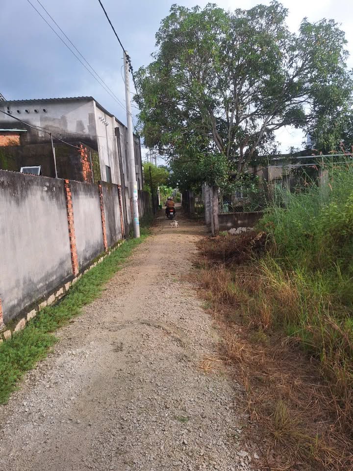 Đất nền Tân Phước, Phú Mỹ 147m² giá 1.28 tỷ - Khu dân cư đông đúc!