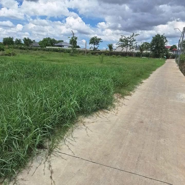 Đất vườn 1 công tại An Lục Long, Châu Thành - Giá đầu tư chỉ 580 triệu!