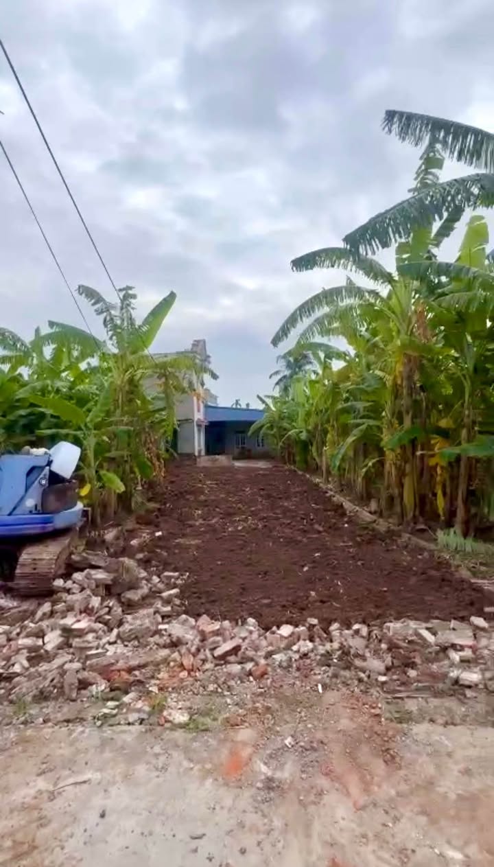 Đất Vĩnh Lập Thanh Hà 100m² giá tốt - Đường thông, ô tô vào thoải mái!