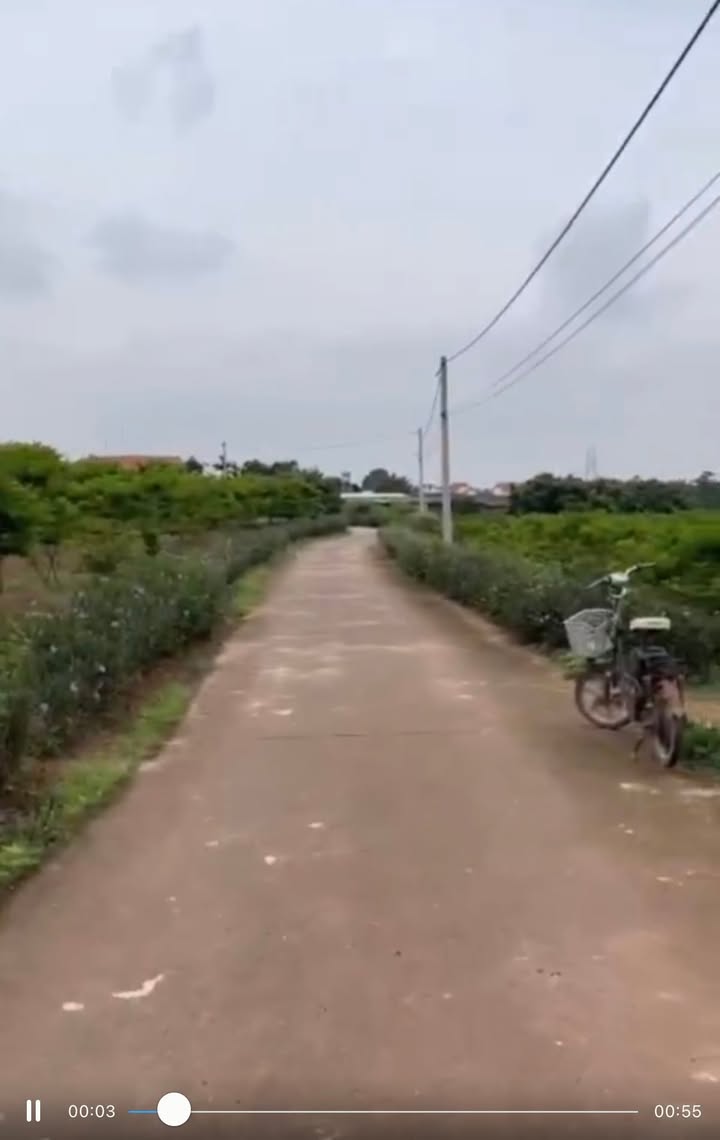 Đất nông nghiệp 2247m² tại Bình Khê, Đông Triều - Giá chỉ 1.2 tỷ VND!