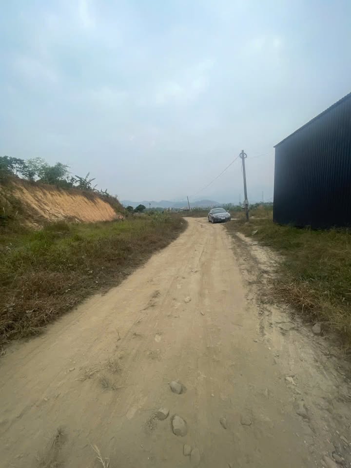 Đất Cây Lâu Năm Bình Khê Đông Triều 10.000m² giá chỉ 2 tỷ - Cơ hội đầu tư hấp dẫn!