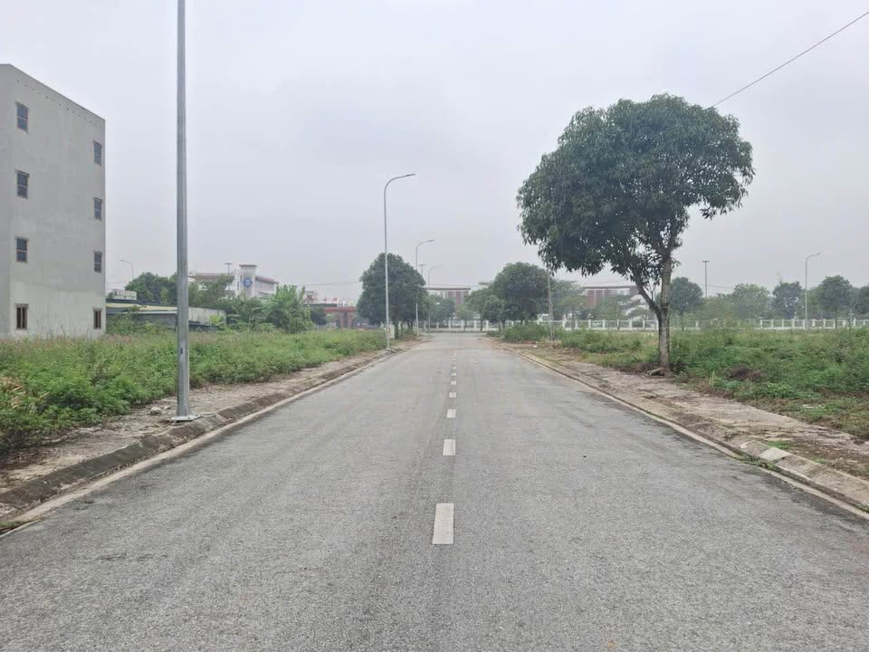 Đất nền Khu Đô Thị Xuân Thành, Hoa Lư 90m² giá 6 triệu - Giao thông thuận tiện!