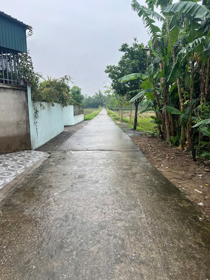 Đất mặt tiền 261m² tại Quảng Thọ, Sầm Sơn - Giá 1,xx tỷ, cơ hội đầu tư tuyệt vời!