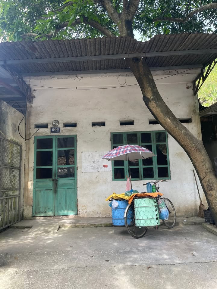 Nhà cho thuê đường Hàm Nghi, phường Kim Tân - Gần cầu Kim Tân