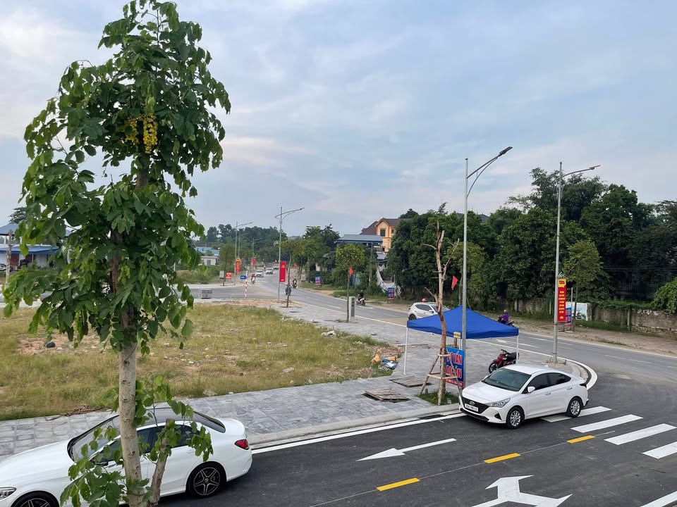 Đất nền Bách Quang Sông Công 120m² giá chỉ 2 tỷ - Đầu tư sinh lời ngay!