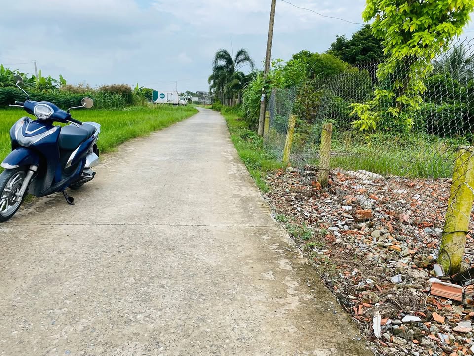 Đất thổ cư 125m² tại Nhựt Chánh, Bến Lức chỉ 750 triệu - Sổ hồng chính chủ!