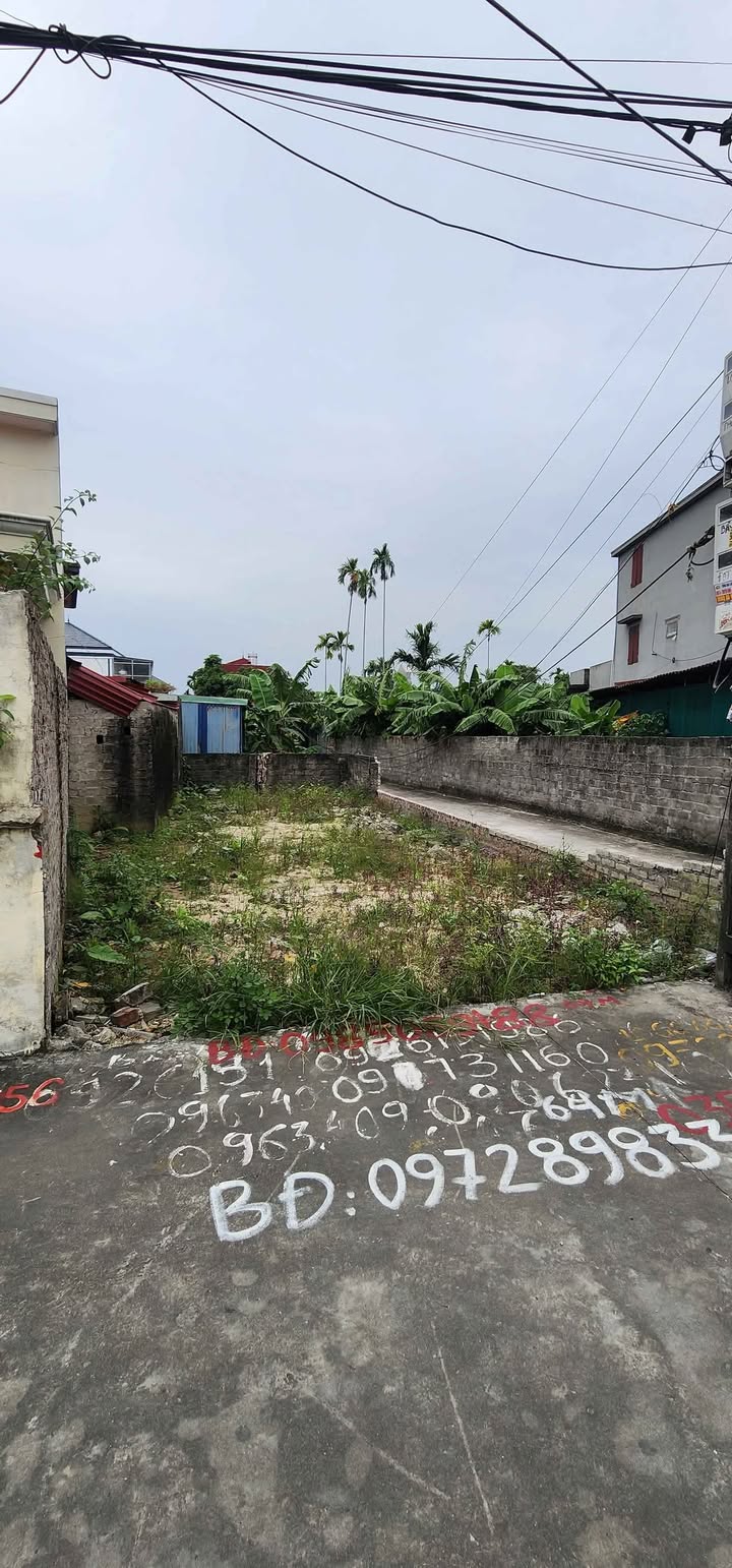 Đất nền Đồng Thái, An Dương 64m² giá 1.1 tỷ - Giao thông thuận tiện!