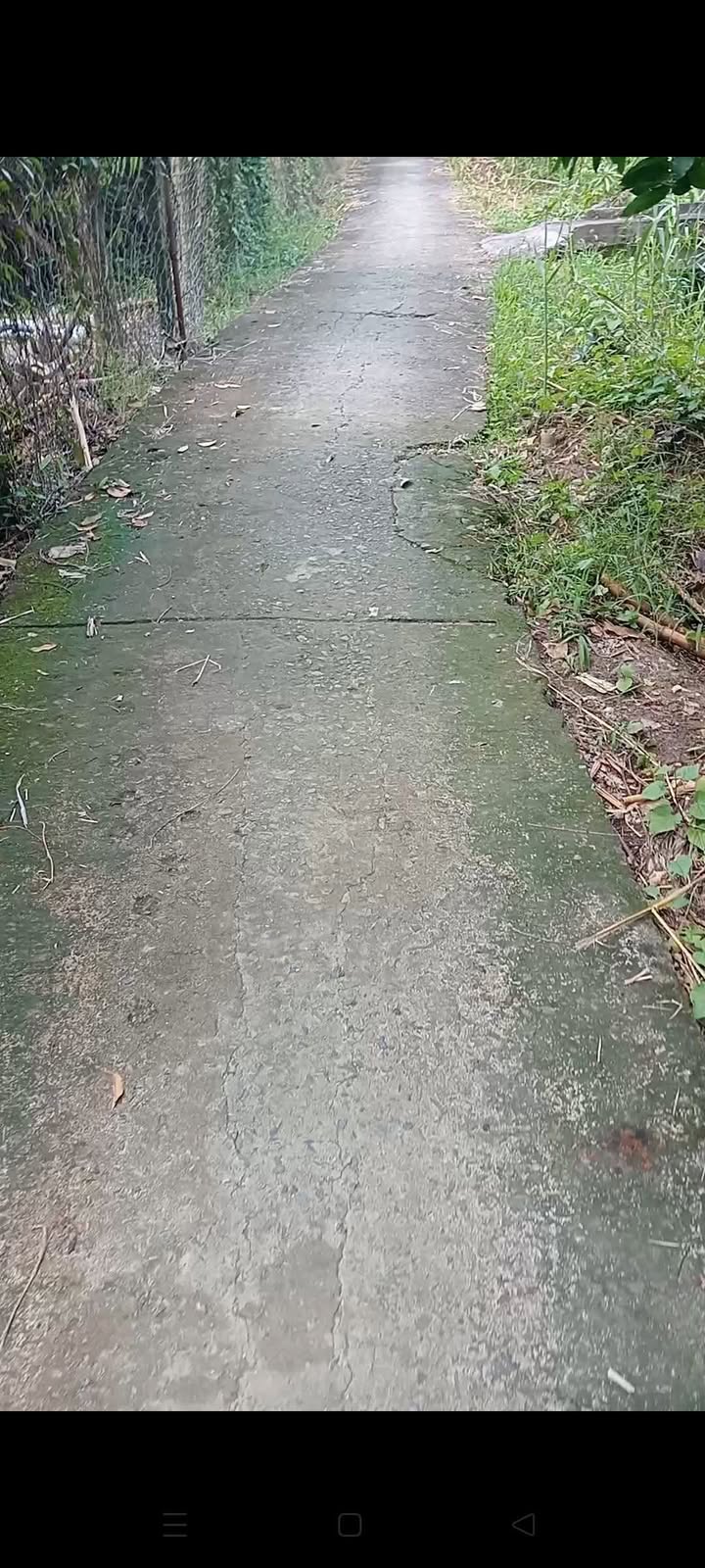 Đất nền Mỹ Lợi A, Cái Bè 420m² giá 820 triệu - Đất cao ráo, dân cư đông đúc!