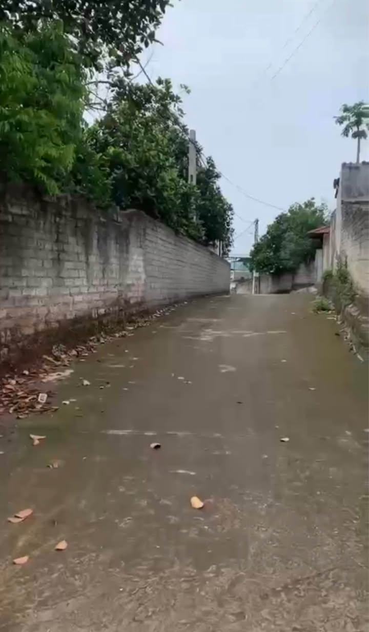 Đất nền Nghĩa Hưng Lạng Giang 105m² giá 400 triệu - Cơ hội đầu tư hấp dẫn!