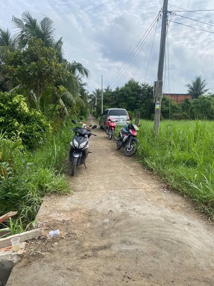 Đất lúa 1.000m² An Vĩnh Ngãi, Tân An giá 1.05 tỷ - Đầu tư sinh lời hấp dẫn!