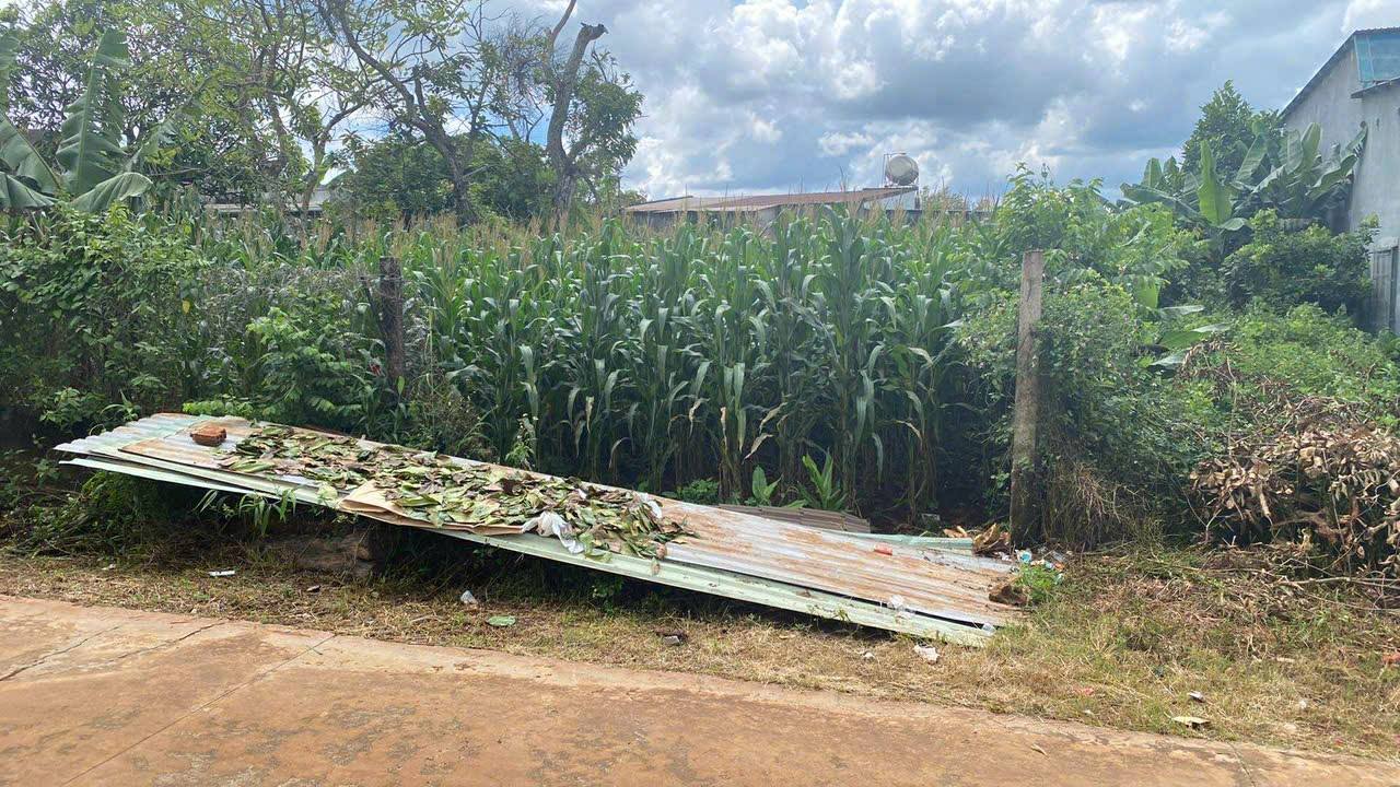 Đất nền Cư M'gar 259m² giá 1.55 tỷ - Cơ hội đầu tư hấp dẫn!