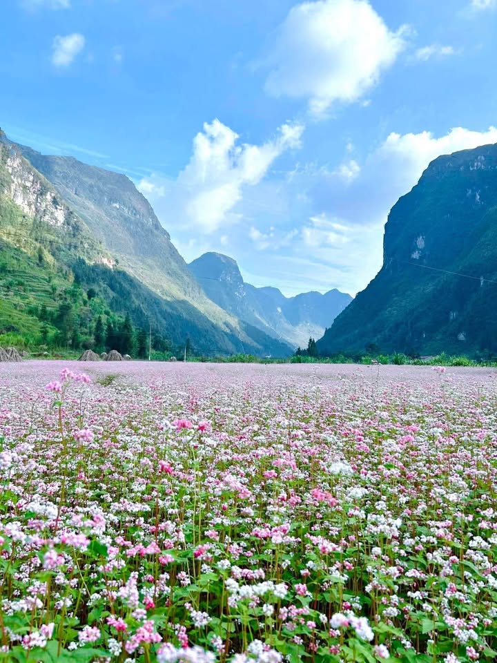 Đất kinh doanh Lập Trí - Minh Trí 380m² giá thỏa thuận - Sổ hồng chính chủ ngay mặt tiền!