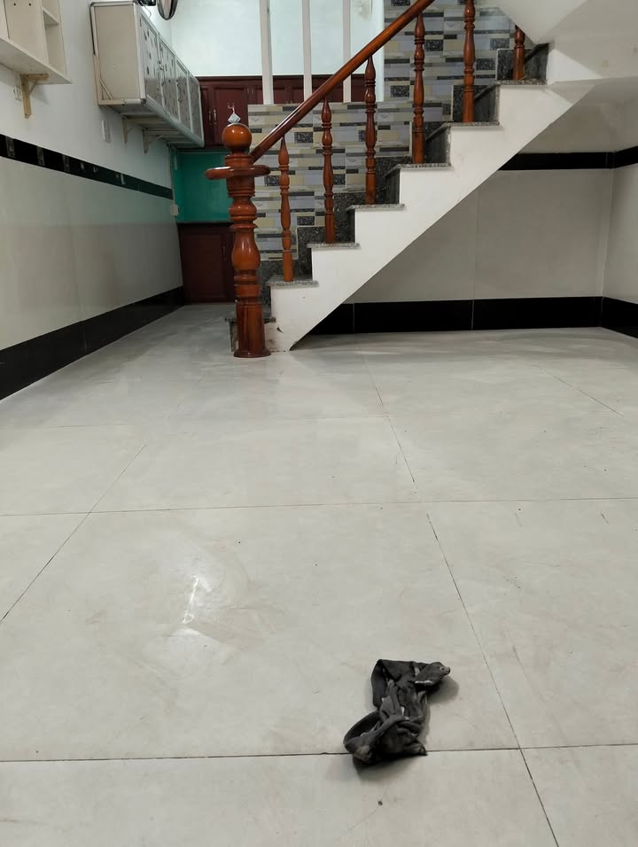 Nhà cho thuê Hiệp Thành, Q12 28m² giá 4 triệu - Nhà mới 100%!