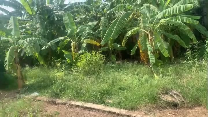 Đất thổ cư Thôn 3, xã Cao Minh 150m² giá 1 tỷ - Cơ hội đầu tư tuyệt vời!