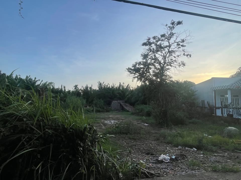 Đất thổ cư 1.279m² tại Phú Thứ, Cái Răng chỉ 6 tỷ - Đầu tư sinh lời hiệu quả!