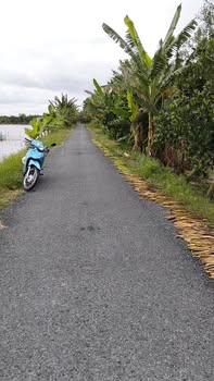 Bán đất ruộng Thanh Mỹ 21 công giá chỉ 3.1 tỷ - Cơ hội đầu tư tuyệt vời!