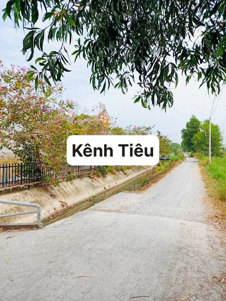 Đất nền Tân Phú Trung, Củ Chi 127m² giá 2.1 tỷ - Sổ hồng chính chủ, xây dựng tự do!