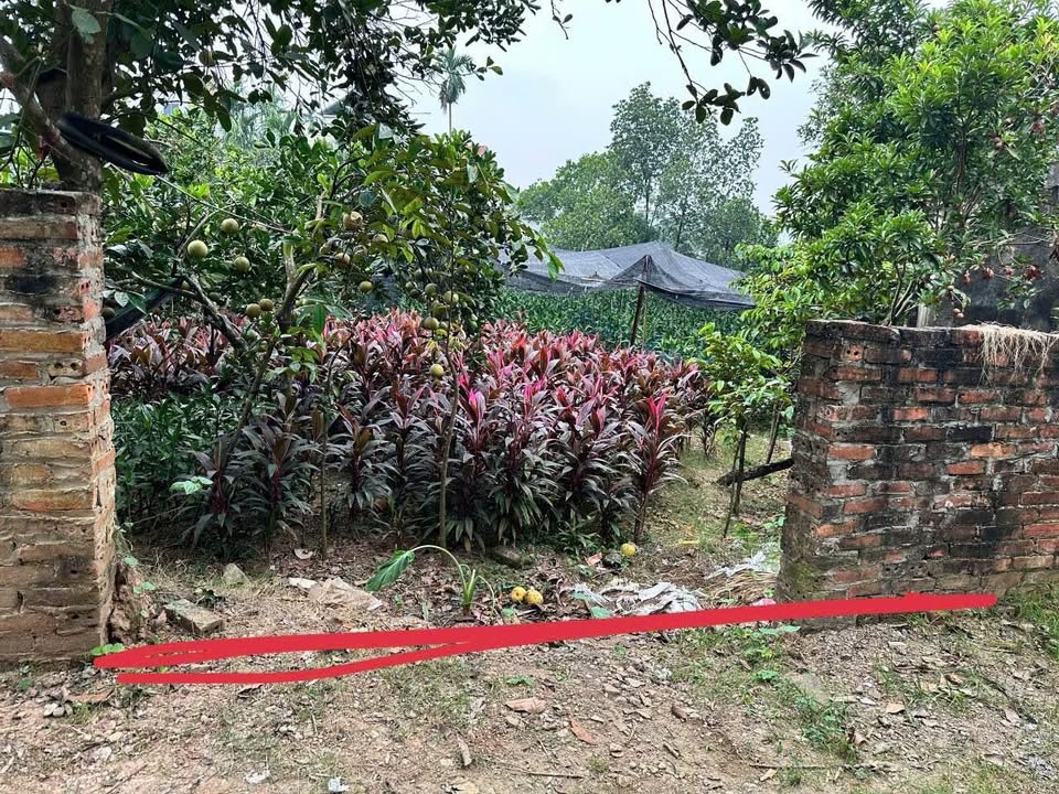 Đất nền Tích Giang - Phúc Thọ 110m² giá chỉ từ 2x triệu - Đầu tư sinh lời ngay!