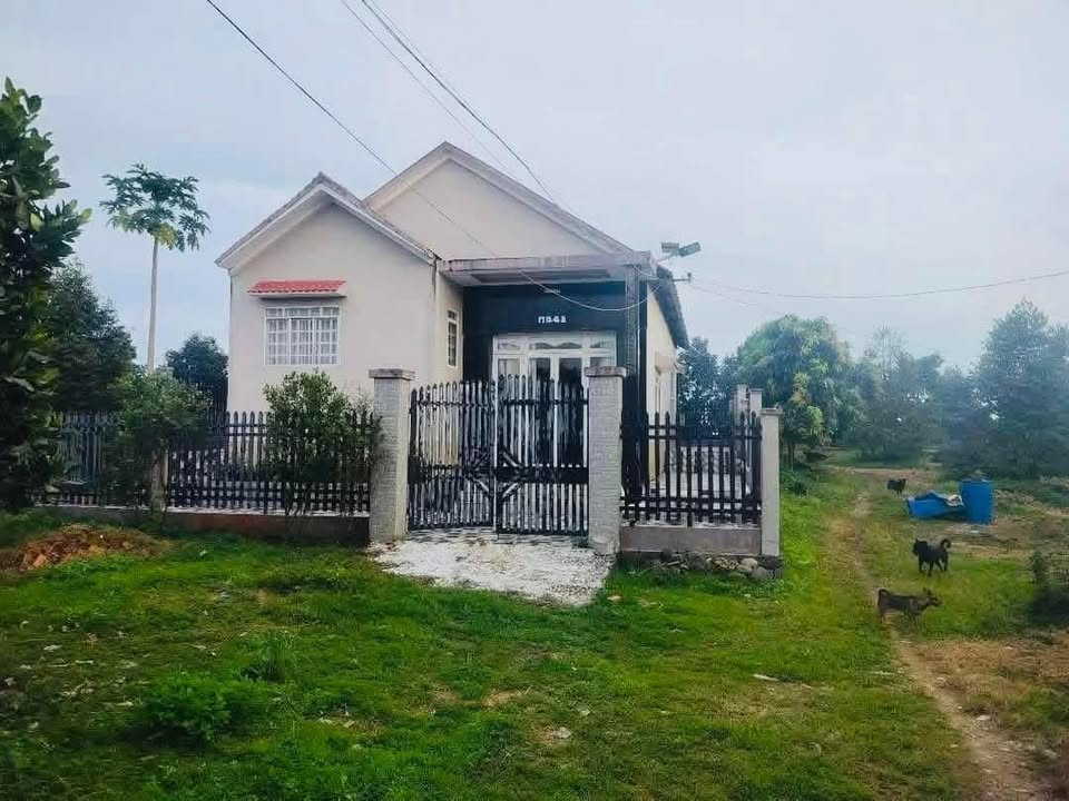 Nhà vườn nghỉ dưỡng 1,3 hecta tại xã Phú Bình - Giá 6 tỷ, thương lượng