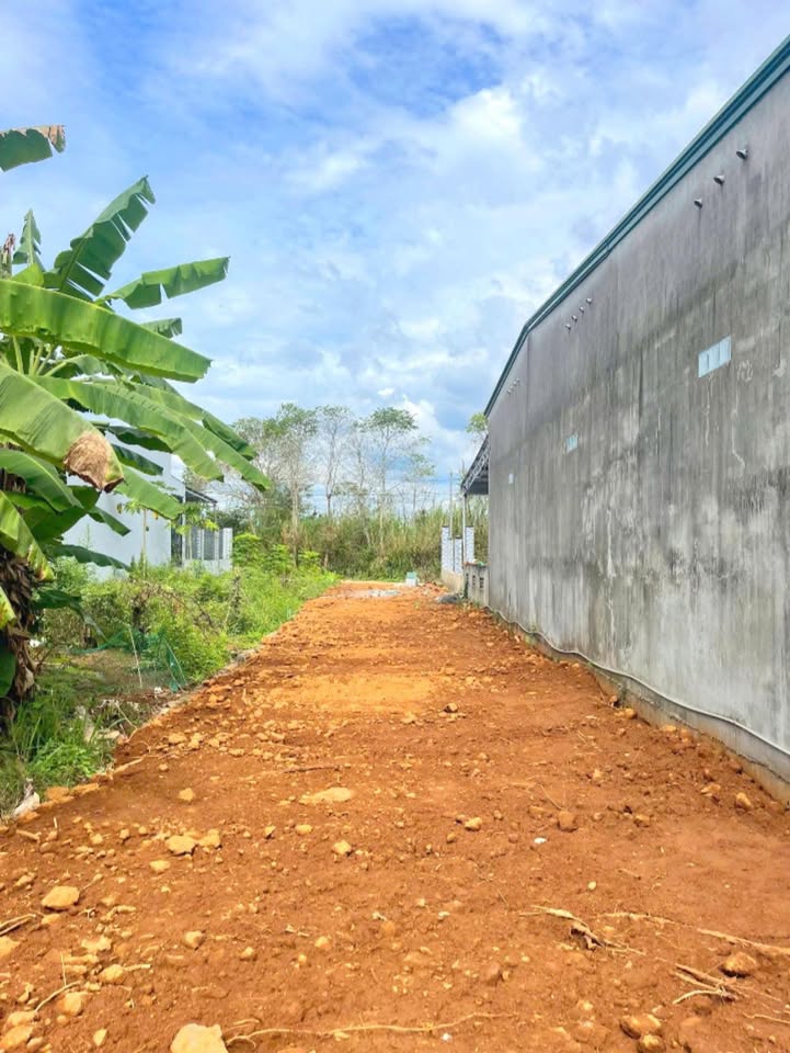 Đất thổ cư 262m² tại Thị Trấn Tân Phú, Đồng Nai - Giá chỉ 1.1 tỷ!