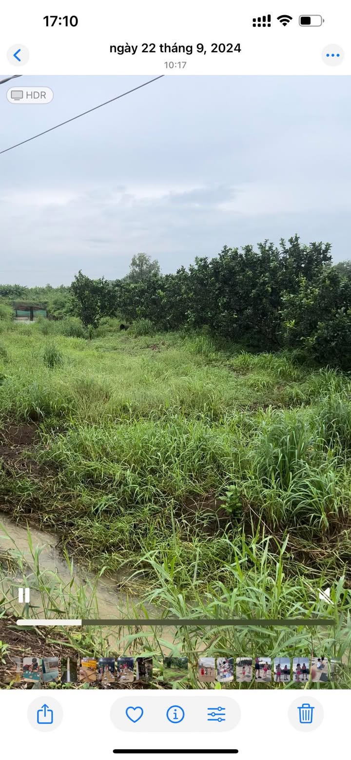 Đất vườn Bưởi Bàu Cạn 25200m² giá 700 triệu - Cơ hội đầu tư hiếm có!