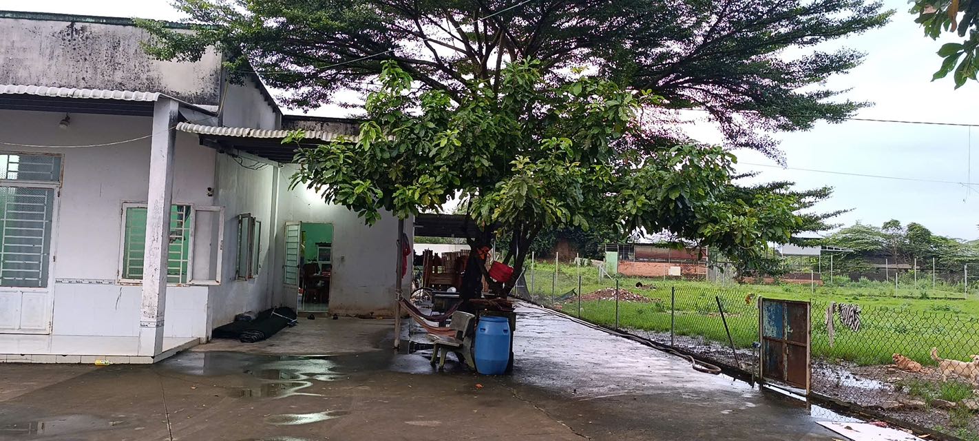 Farm Hưng Thịnh Trảng Bom 14400m² giá 5 triệu - Đầu tư lý tưởng cho trang trại