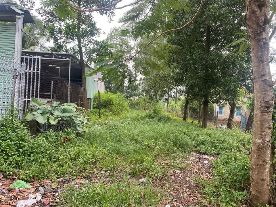 Đất thổ cư 100% Lộc An, Long Thành 420m² giá 6 tỷ - Đầu tư sinh lời ngay!