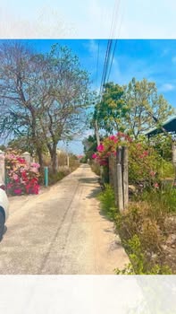 Đất mặt tiền đường bê tông xã Phước Long Thọ 576m² giá 1.4 tỷ - Sổ đỏ chính chủ