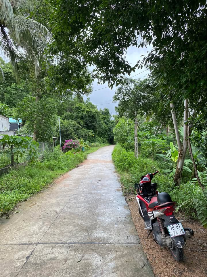 Đất nền đường DT644, xã Xuân Lâm, Sông Cầu 270m² - Giá 600 triệu - Không khí trong lành, sống xanh!