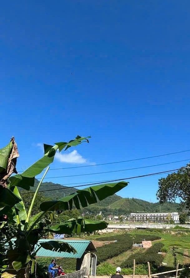 Đất nền dự án biệt thự Sao Vàng 27h Thống Nhất 50m² - Đầu tư sinh lời hấp dẫn!