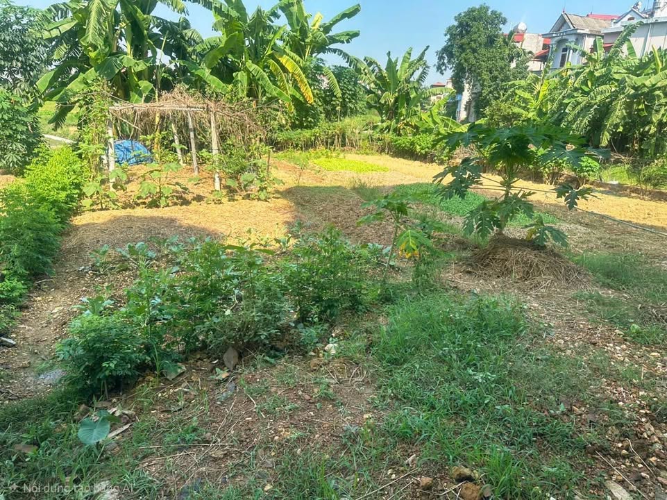 Đất nền Tân Phú Mỹ, Ba Vì 190m² giá 3.8 tỷ - Khu vực trung tâm tiện ích