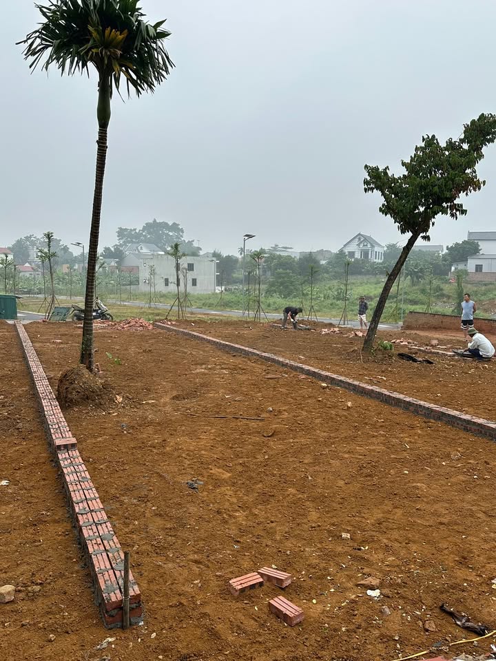 Đất nền lô góc 106m² tại Phú Cát, Thạch Thất - Vị trí đắc địa, giá thỏa thuận!