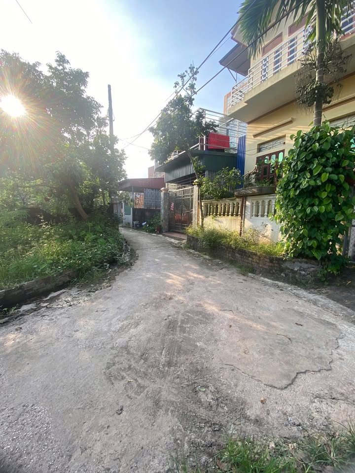 Đất Xích Đằng, phường Lam Sơn, Hưng Yên 80m² giá 1.9 tỷ - Gần chợ, ô tô vào tận nơi!