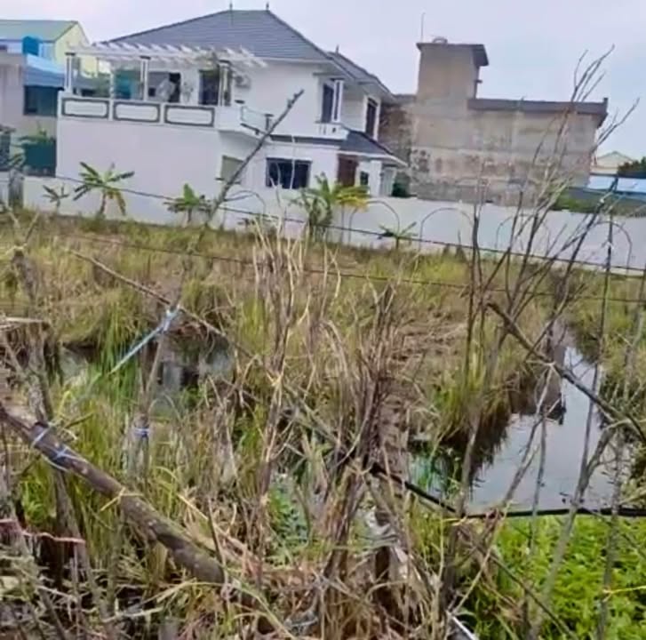 Đất thổ cư An Ninh Tiền Hải 100m² giá thỏa thuận - Cơ hội đầu tư tuyệt vời!