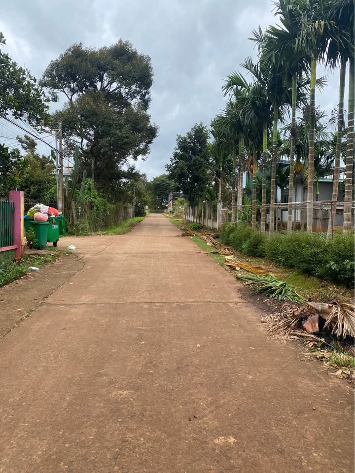 Đất góc 2 mặt tiền Tân Lập, Đắk Lắk 149.5m² giá 2 tỷ - Cơ hội đầu tư tuyệt vời!