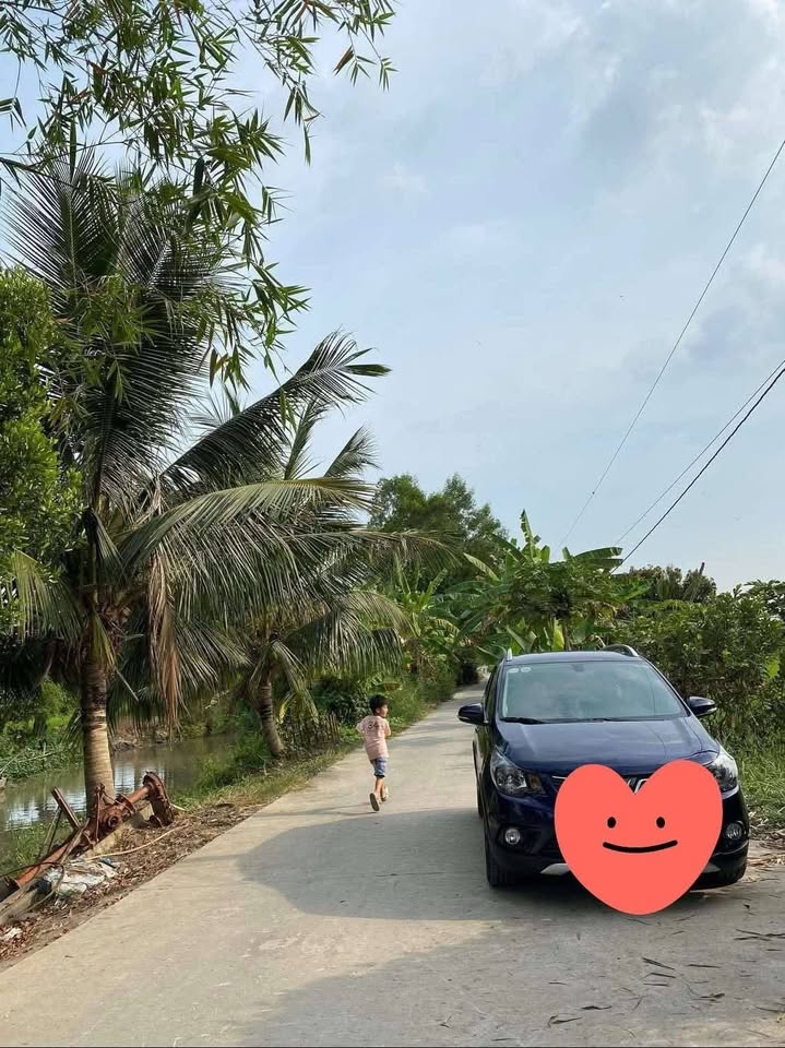 Đất ruộng 1.000m² xã Phú Cường, huyện Cai Lậy - Giá chỉ 485 triệu, cơ hội đầu tư tuyệt vời!