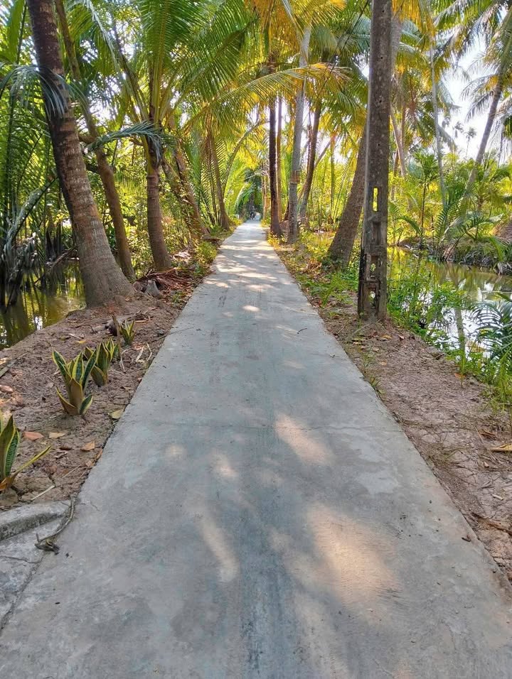 Đất nền Lương Quới Giồng Trôm 2400m² giá 780 triệu - Cơ hội đầu tư hấp dẫn!