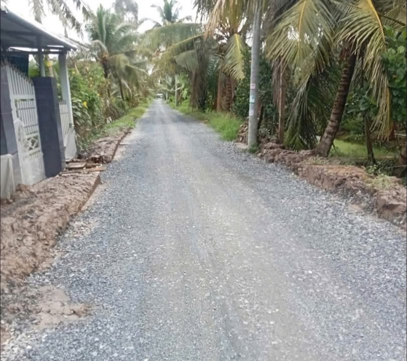 Đất thổ cư 250m² Tân Phú Tây Mỏ Cày Bắc 741m² giá 690 triệu - Cơ hội đầu tư hấp dẫn!