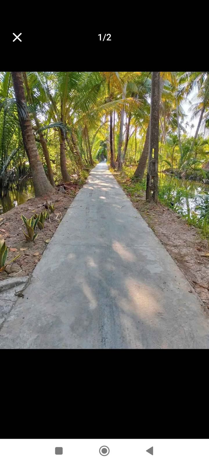 Đất nền Lương Quới Giồng Trôm 2400m² giá 780 triệu - Cơ hội đầu tư tuyệt vời!